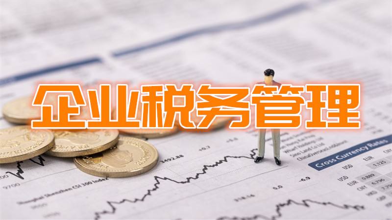 宁波市税务咨询筹划